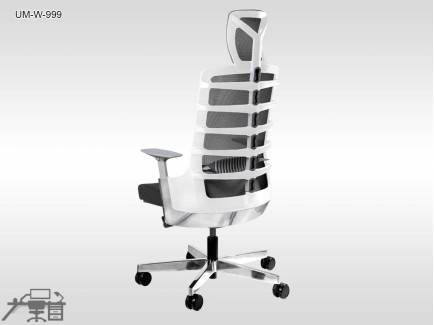 Scaun ergonomic SPINELLY UM-W-999
