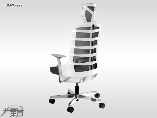 Scaun ergonomic SPINELLY UM-W-999
