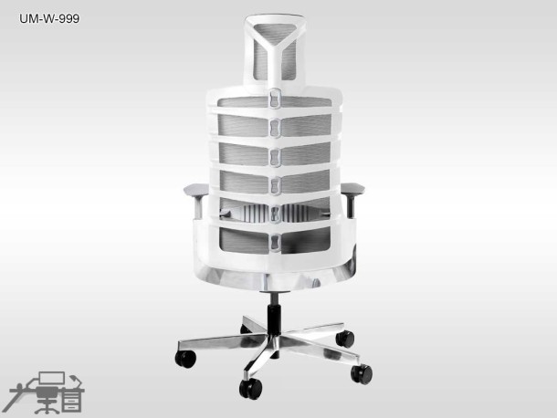 Scaun ergonomic SPINELLY UM-W-999