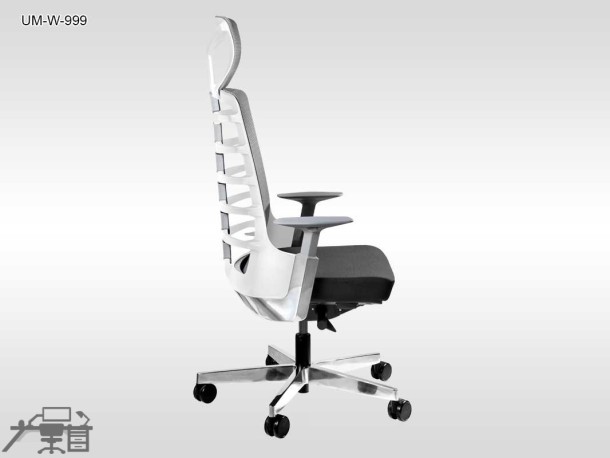 Scaun ergonomic SPINELLY UM-W-999