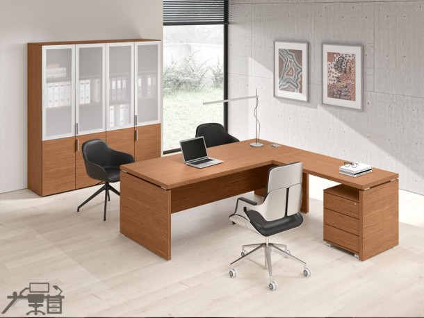 Birou managerial ODEON